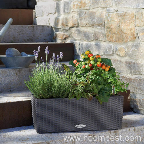 Raised Garden Bed Planting Box plant pots